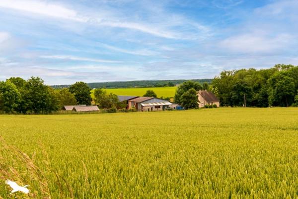 Maison à vendre |  Auvers-sur-Oise |  5 pièces | 150 m²