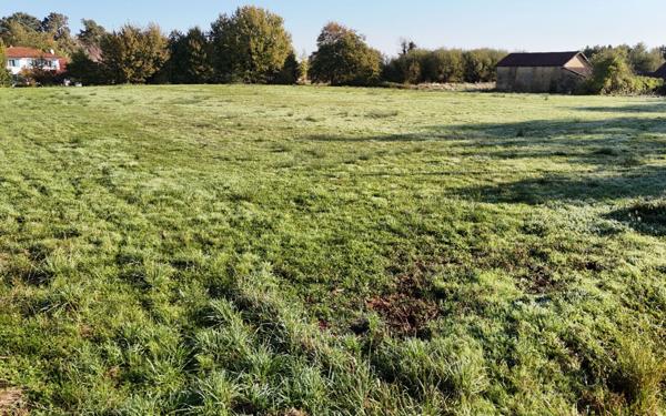 Terrain à vendre    Arsague