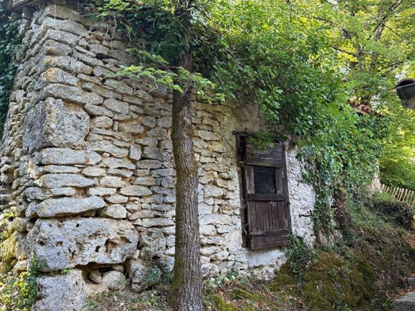 Dans la campagne de Lauzerte - Belle maison en pierre composée de deux logements, idéale pour investissement locatif ou projet mixte Lauzerte