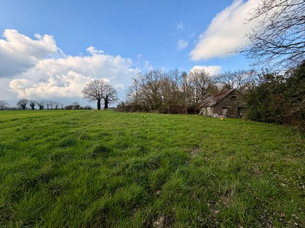 Terrain 584 m2