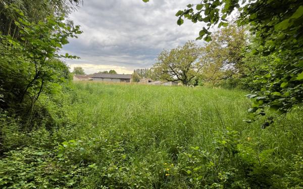 Terrain à vendre    Cherveux