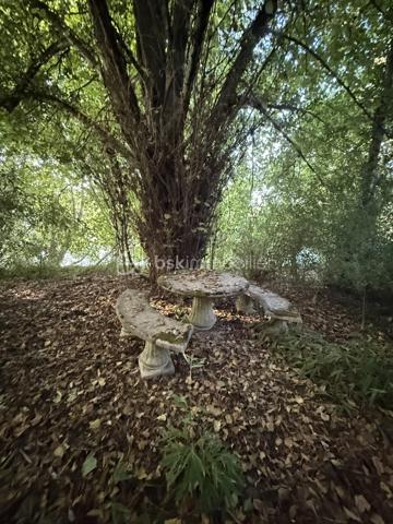 Laissez libre cours à votre imagination et dessinez votre futur cocon dans cette belle maison de maître au charme authentique.
Vous pourrez imaginer un superbe séjour double, baigné de lumière, ouvert sur une cuisine conviviale avec une vue imprenable sur le jardin de plus de 6 000 m². Un véritable écrin de verdure, agrémenté d’une bambouseraie pleine de surprises, qui invite au calme, à la détente et aux beaux projets de vie.
Les deux étages supplémentaires offrent de nombreuses possibilités d’aménagement : jusqu’à 4 chambres, un dressing, des espaces sanitaires, ou encore un bureau selon vos envies et vos besoins.
En rez-de-jardin, des dépendances viennent compléter ce bien et offrent un potentiel supplémentaire pour du stockage, un atelier, un espace loisirs ou tout autre projet.
Des travaux importants ont déjà été réalisés :
 menuiseries neuves, toiture refaite et pompe à chaleur installée.
Un bien rare, idéal pour les amoureux de belles demeures, de grands espaces et de projets à fort potentiel.
À vous d’écrire la suite de l’histoire…

**Information concernant les visuels :**
Certaines photographies présentées dans cette annonce ont été générées ou modifiées à l’aide de l’intelligence artificielle afin d’illustrer des possibilités d’aménagement, de décoration ou de rénovation du bien.

Ces visuels constituent des **projections non contractuelles** et peuvent différer de l’état actuel du bien. Les caractéristiques réelles du logement, notamment ses volumes, surfaces, ouvertures, équipements et état général, sont celles constatables lors de la visite et précisées dans le descriptif de l’annonce.