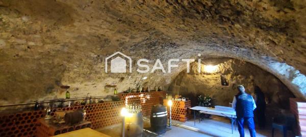 Domaine proche de Béziers, Habitation + Gîtes, 2 piscines, 12 pièces, 6640m2 clos