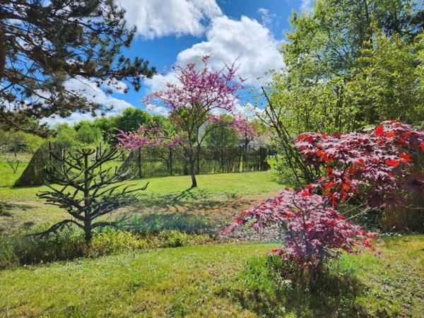 Maison à vendre 11 pièces de 237 m²