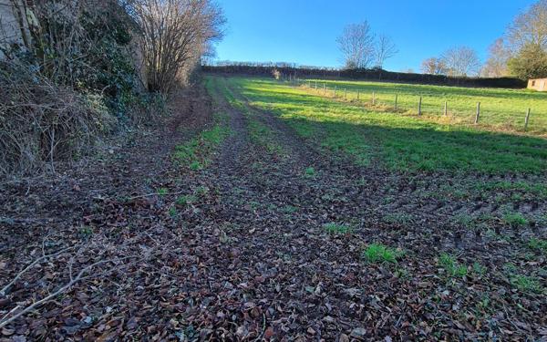 Terrain à vendre    Baraqueville