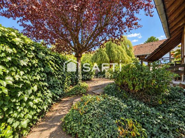 Robertsau: maison familiale évolutive avec magnifique jardin arboré