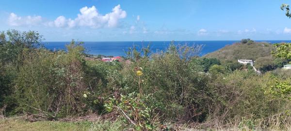 Baillif. Terrain 1095 m2 avec vue mer exceptionnelle