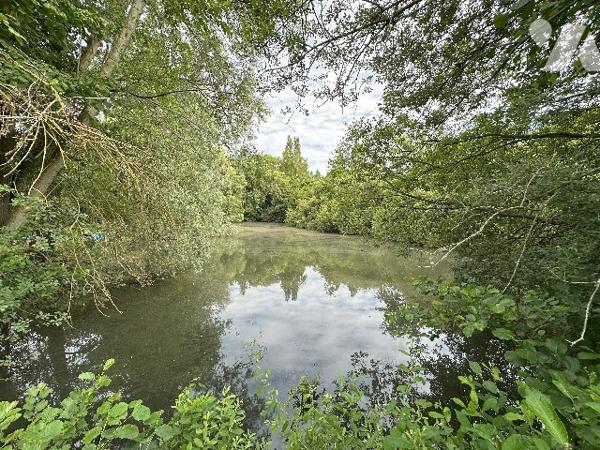 ETANG avec accès rivière et eau courante