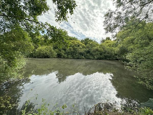 ETANG avec accès rivière et eau courante