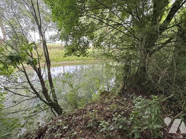 ETANG avec accès rivière et eau courante