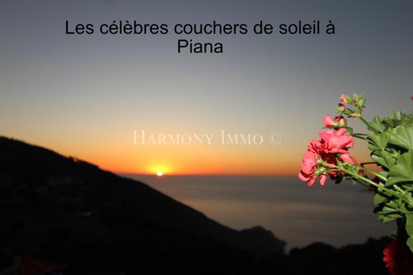 Appartement type T2 au cœur du village de Piana