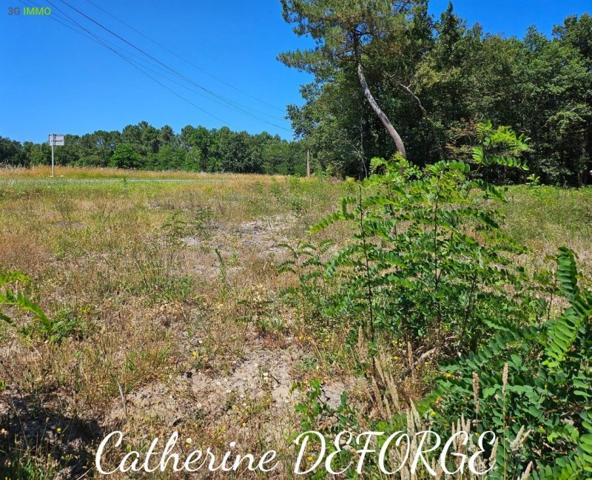 Vente / Terrain constructible