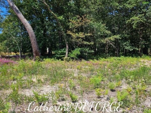 Vente / Terrain constructible