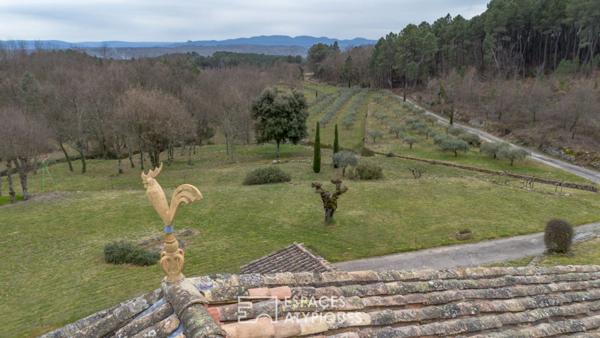 Séduisant mas ardéchois de caractère avec piscine et dépendances sur un terrain remarquablement arboré