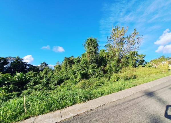 Terrain à bâtir Deshaies 1 901 m²