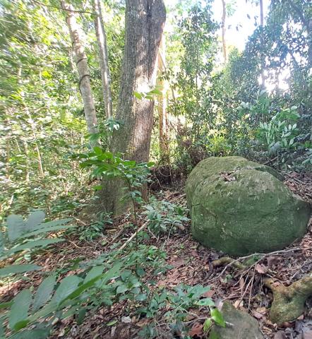 Terrain à bâtir Deshaies 1 901 m²