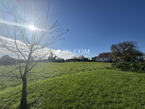 3%COM Très belle maison contemporaine avec 5 chambres - 7,55 ares  Hochfelden (67270)