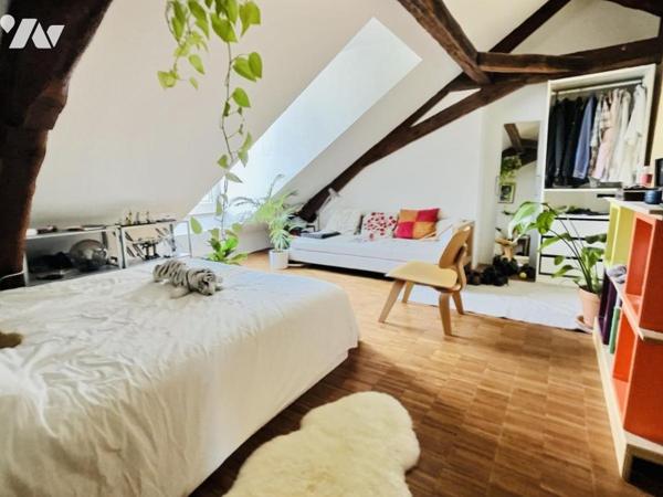 DUPLEX - TOURS CATHEDRALE