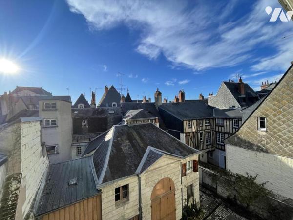 DUPLEX - TOURS CATHEDRALE