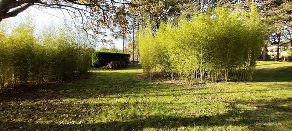 Rabastens: Belle villa T5 avec piscine sur parc de 5000m2 + T2