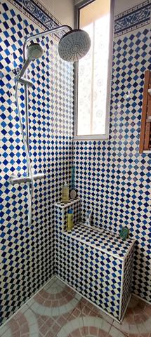 Rabastens: Belle villa T5 avec piscine sur parc de 5000m2 + T2