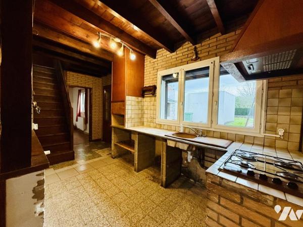 ✨EN EXCLUSIVITE ✨