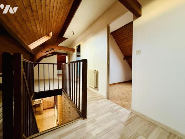 ✨EN EXCLUSIVITE ✨