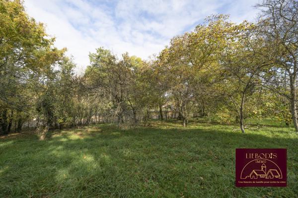 Affracourt (54740) Superbe terrain constructible