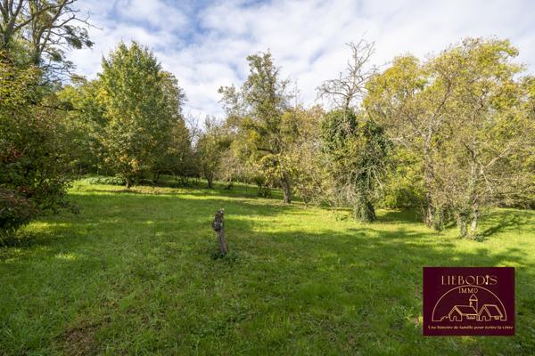 Affracourt (54740) Superbe terrain constructible