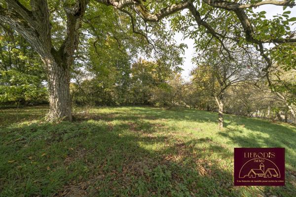 Affracourt (54740) Superbe terrain constructible