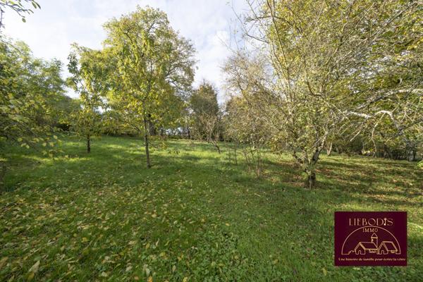 Affracourt (54740) Superbe terrain constructible