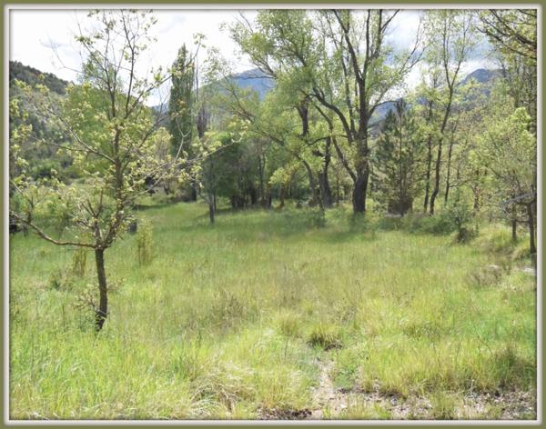 Bastide provençale à quelques pas du lac de Castillon et proche de Castellane.