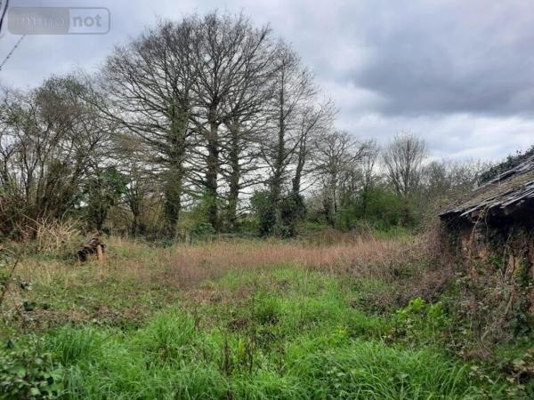 Terrain à Batir à vendre à La Chapelle Bouëxic en Ille-et-Vilaine (35330), ref : 3203