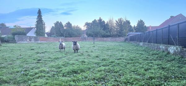 Bruay-la-Buissière (62700) Terrain constructible de 1969 m² et une façade de 26.86 mètres