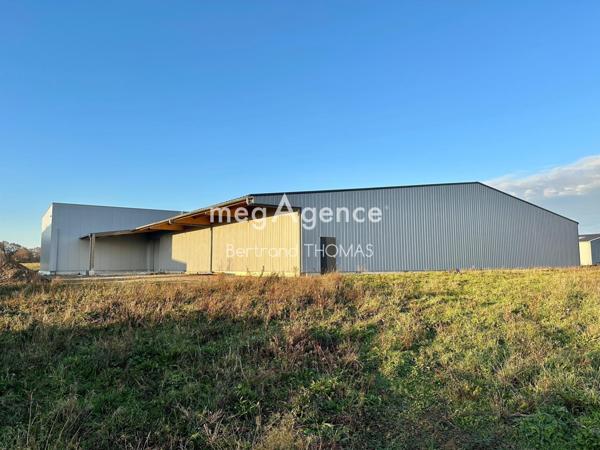 Local Commercial à ROMAGNE, 35133 - 7 pièces 1800m²