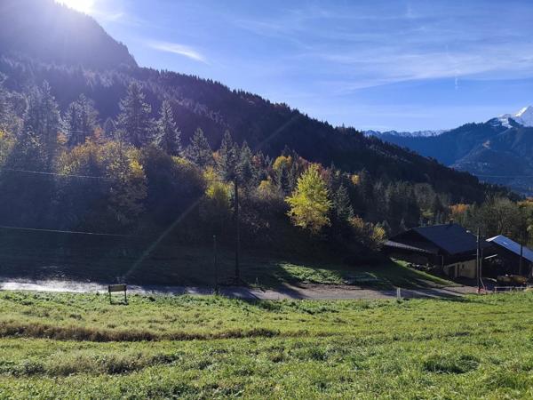 Terrain à vendre - 678m² - SAINT JEAN D'AULPS (74)