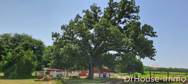 Bien immobilier à vendre 16 pièces de 526 m²