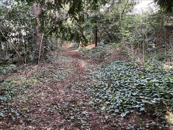 Appartement à vendre |  Lyon 05 |  2 pièces | 37 m²