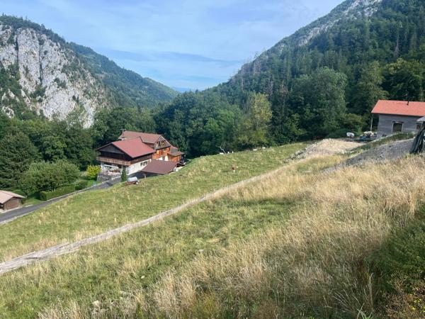 PETIT BORNAND (74) RARE À LA VENTE – Terrain à batir de 1 336 m² avec Vue Panoramique