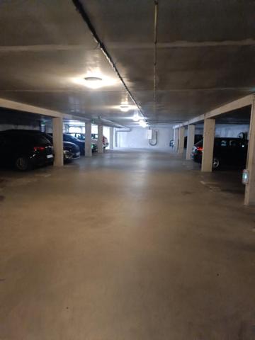 T3 croix daurade