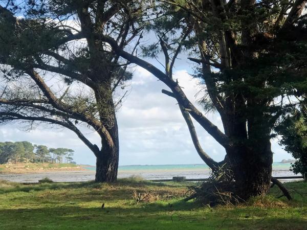MAISON LES PIEDS DANS L'EAU A ROSCOFF