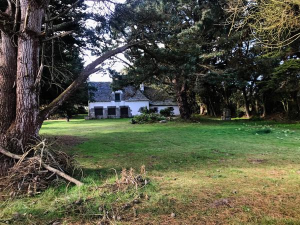 MAISON LES PIEDS DANS L'EAU A ROSCOFF
