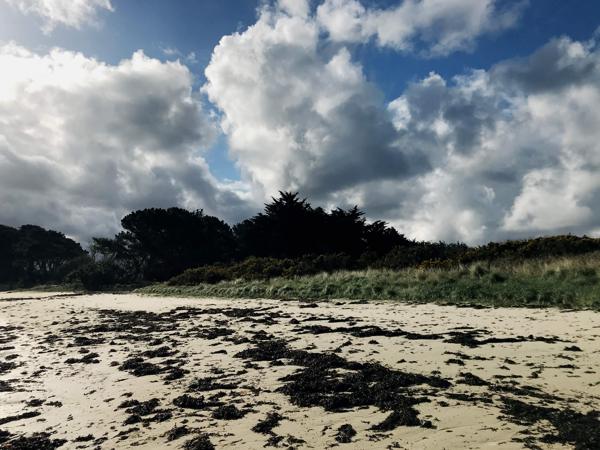 MAISON LES PIEDS DANS L'EAU A ROSCOFF