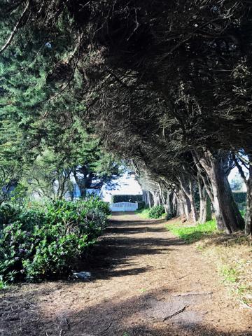 MAISON LES PIEDS DANS L'EAU A ROSCOFF