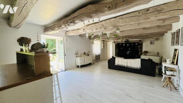 PLUMELIAU, Propriété de caractère, REF 49N