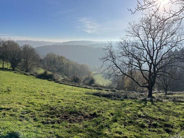 Terrain à vendre |  Beynat |  20241 m²