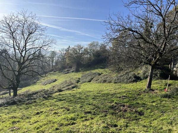 Terrain à vendre |  Beynat |  20241 m²