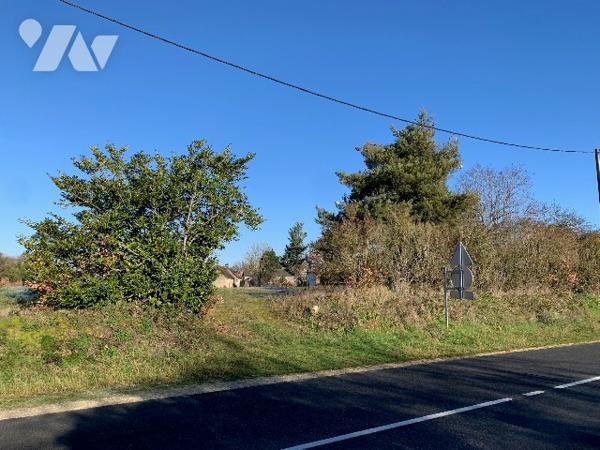 Terrain constructible sur moitié du terrain.