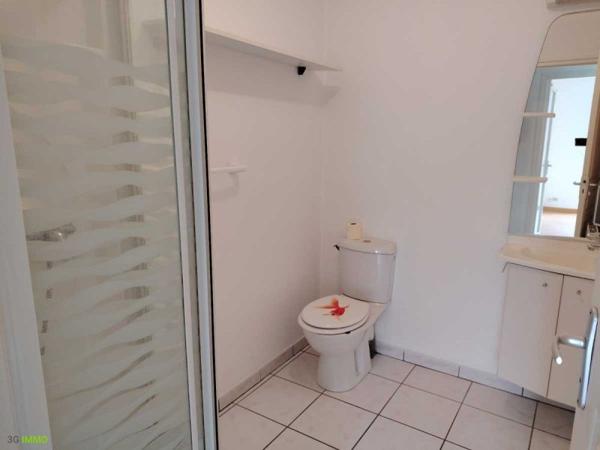 Location / Appartement T1 bis