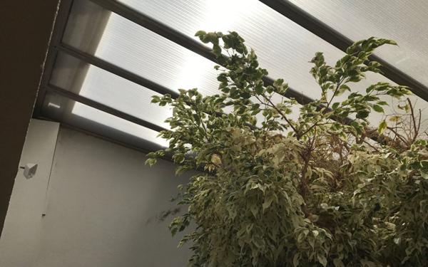 Immeuble à vendre    11 pièces • 800 m2 Orange